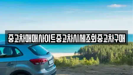 서울 구로구 항동 중고차 전문 중고차매매사이트중고차시세조회중고차구매