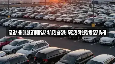 서울 구로구 항동 중고차 전문 중고차매매최고가매입24시간출장비무료견적현장방문지누카