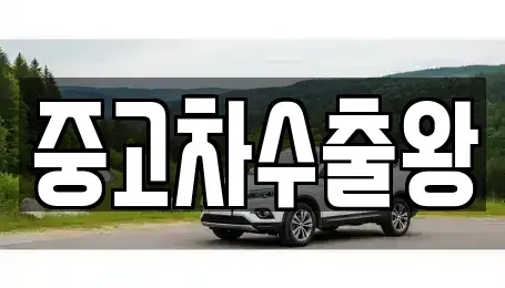 서울 구로구 항동 중고차 전문 중고차수출왕