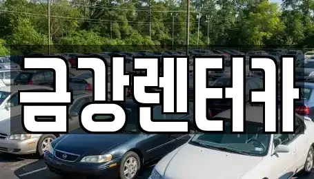 서울 동대문구 제기동 렌트카 전문 금강렌터카