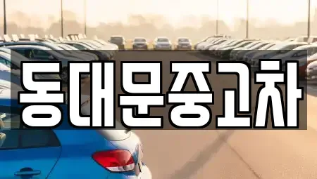 서울 동대문구 제기동 중고차매매 전문 동대문중고차