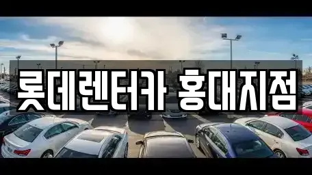 서울 마포구 성산동 단기렌트카 전문 롯데렌터카 홍대지점