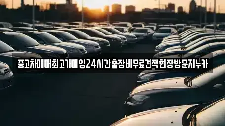 서울 마포구 성산동 중고차 전문 중고차매매최고가매입24시간출장비무료견적현장방문지누카