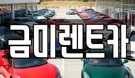 서울 마포구 신정동 렌트카 전문 금미렌트카