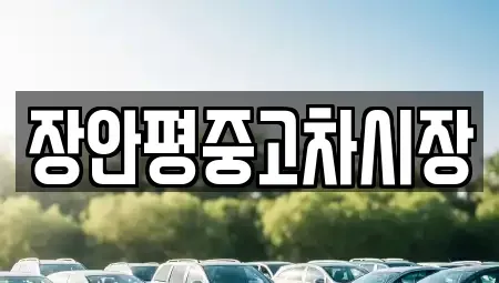 서울 마포구 신정동 중고차매매,단기렌트카,중고차매입,장기렌트카,중고차,렌트카