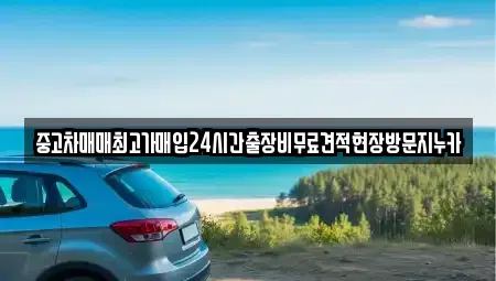 서울 마포구 신정동 중고차매매 전문 중고차매매최고가매입24시간출장비무료견적현장방문지누카