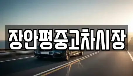 서울 서대문구 대현동 중고차 전문 장안평중고차시장