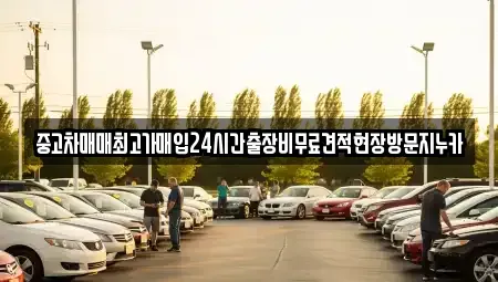 서울 서대문구 대현동 중고차 전문 중고차매매최고가매입24시간출장비무료견적현장방문지누카