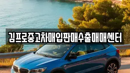 서울 서대문구 대현동 중고차매입 전문 김프로중고차매입판매수출매매센터