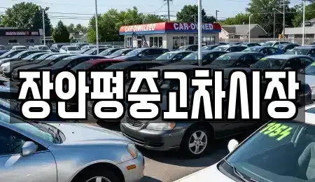 서울 서대문구 미근동 중고차매매 전문 장안평중고차시장