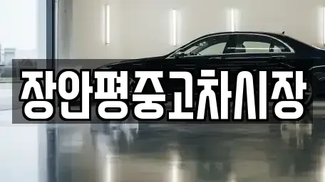 서울 서대문구 창천동 중고차 전문 장안평중고차시장