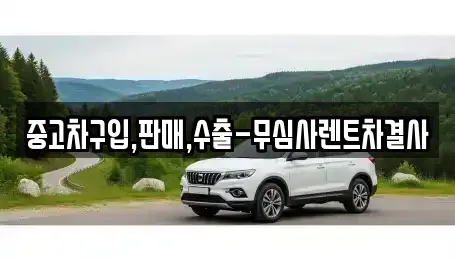 서울 서대문구 창천동 중고차 전문 중고차구입,판매,수출-무심사렌트차결사
