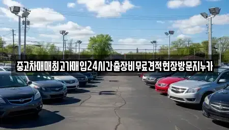 서울 서대문구 창천동 중고차 전문 중고차매매최고가매입24시간출장비무료견적현장방문지누카