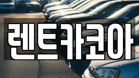 서울 성동구 도선동 렌트카 전문 렌트카코아