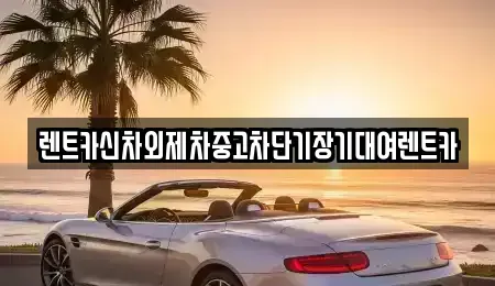 서울 성동구 도선동 장기렌트카,중고차,렌트카,단기렌트카,중고차매입,중고차매매