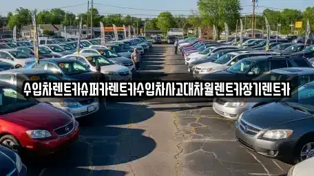 서울 성동구 도선동 장기렌트카 전문 수입차렌트카슈퍼카렌트카수입차사고대차월렌트카장기렌트카