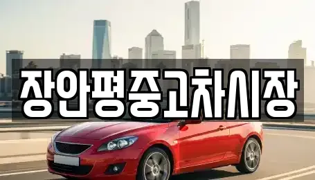 서울 성동구 도선동 중고차 전문 장안평중고차시장