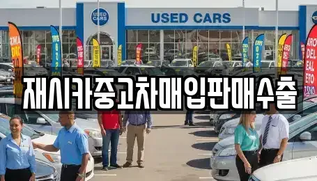 서울 성동구 도선동 중고차 전문 재시카중고차매입판매수출