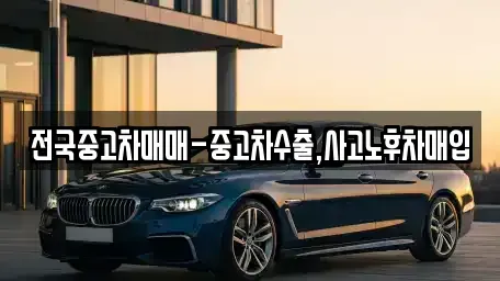 서울 성동구 도선동 중고차 전문 전국중고차매매-중고차수출,사고노후차매입