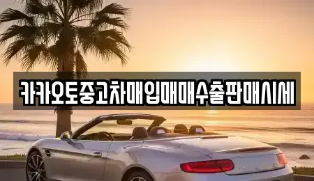 서울 성동구 도선동 중고차 전문 카카오토중고차매입매매수출판매시세