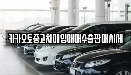 서울 성동구 도선동 중고차 전문 카카오토중고차매입매매수출판매시세