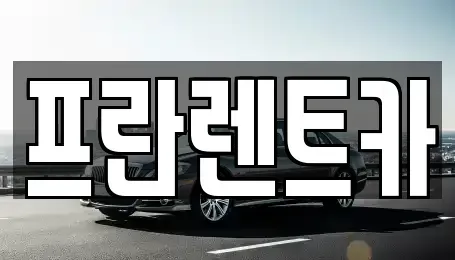 서울 성동구 용답동 장기렌트카 전문 프란렌트카