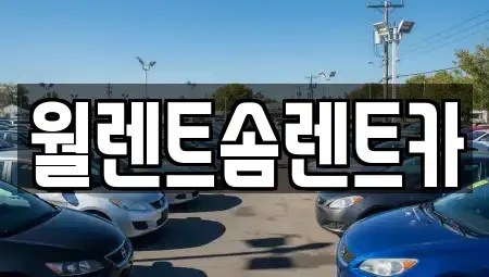 서울 성북구 돈암동 렌트카 전문 월렌트솜렌트카