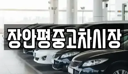 서울 성북구 돈암동 중고차 전문 장안평중고차시장