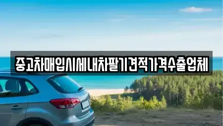 서울 성북구 돈암동 중고차 전문 중고차매입시세내차팔기견적가격수출업체