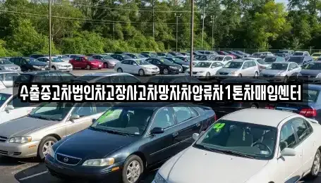서울 성북구 돈암동 중고차매입 전문 수출중고차법인차고장사고차망자차압류차1톤차매입센터