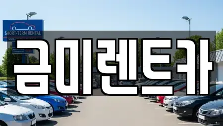 서울 영등포구 영등포동6가 렌트카 전문 금미렌트카