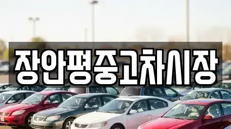 서울 영등포구 영등포동6가 중고차 전문 장안평중고차시장