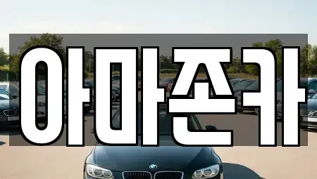 서울 영등포구 영등포동8가 장기렌트카 전문 아마존카