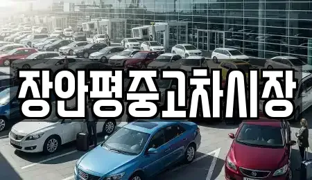 서울 영등포구 영등포동8가 중고차매매 전문 장안평중고차시장