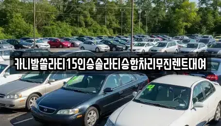 서울 은평구 응암동 렌트카 전문 카니발쏠라티15인승솔라티승합차리무진렌트대여