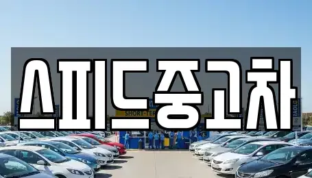 서울 은평구 응암동 중고차 전문 스피드중고차
