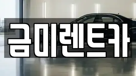 서울 종로구 돈의동 렌트카 전문 금미렌트카
