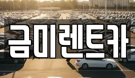 서울 종로구 돈의동 렌트카 전문 금미렌트카