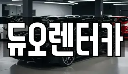 서울 종로구 돈의동 렌트카 전문 듀오렌터카