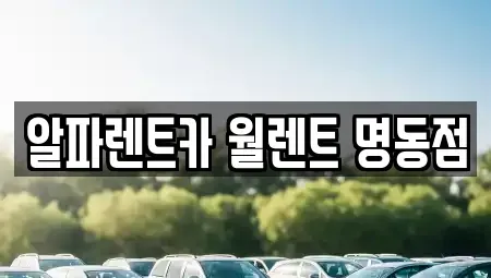 서울 종로구 돈의동 렌트카 전문 알파렌트카 월렌트 명동점
