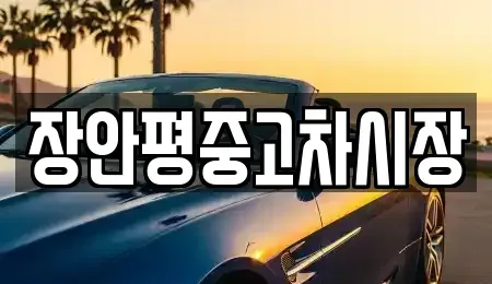 서울 종로구 돈의동 중고차 전문 장안평중고차시장