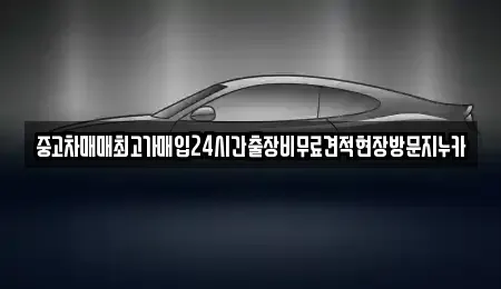 서울 종로구 돈의동 중고차 전문 중고차매매최고가매입24시간출장비무료견적현장방문지누카