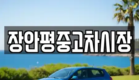 서울 종로구 돈의동 중고차매매 전문 장안평중고차시장