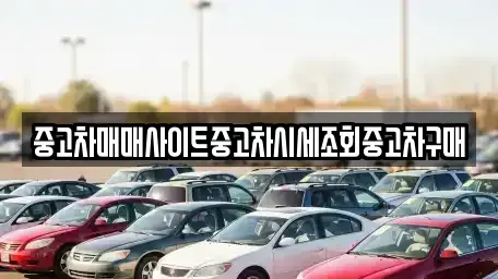 서울 종로구 돈의동 중고차매매 전문 중고차매매사이트중고차시세조회중고차구매