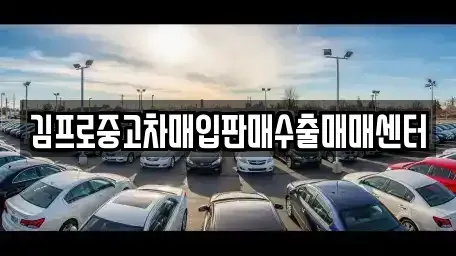 서울 종로구 돈의동 중고차매입 전문 김프로중고차매입판매수출매매센터
