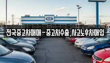 서울 종로구 돈의동 중고차매입 전문 전국중고차매매-중고차수출,사고노후차매입