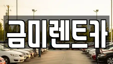 서울 종로구 사간동 렌트카 전문 금미렌트카