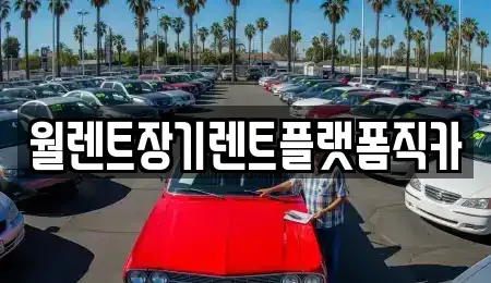 서울 종로구 사간동 렌트카 전문 월렌트장기렌트플랫폼직카