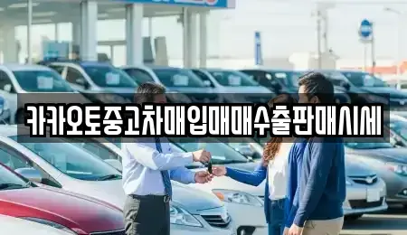 서울 종로구 사간동 중고차매입 전문 카카오토중고차매입매매수출판매시세