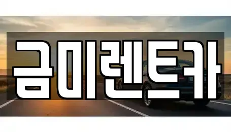 서울 종로구 장사동 렌트카 전문 금미렌트카